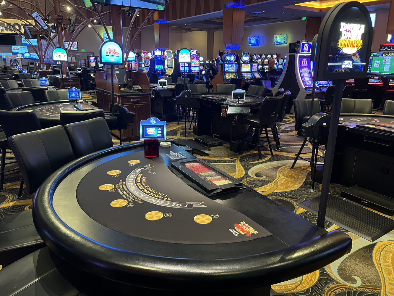 双倍疯狂- Wizard of Odds