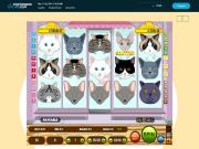 screenshot.image.name