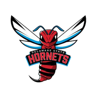 Delaware St Hornets