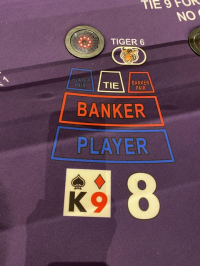 皇家 9 图片 3