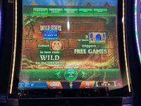 黄金丛林大规则屏幕 1